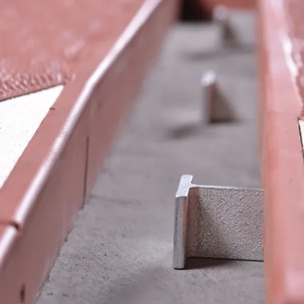 Speed Cushion details